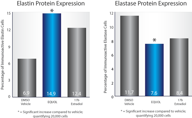 elastin_protein_chart.png